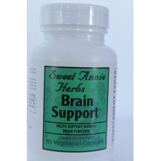 Brain Support 